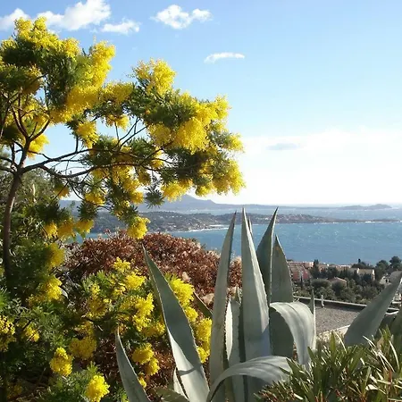 T1 Renecros 3 Etoiles A 2 Pas De Belle Bandol